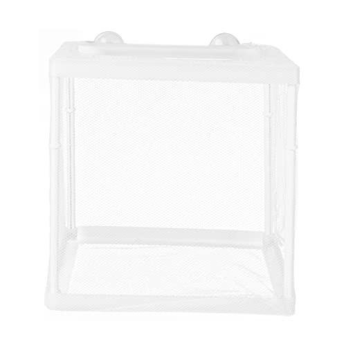 COLLBATH Fischzucht Kasten Transparente Aquarium Isolation Kasten für Babyfische Fischeier Brutkasten Atmungsaktives Netz für Guppys und Kampffische COLLBATH Fischzucht Kasten Transparente Aquarium Isolation Kasten für Babyfische Fischeier Brutkasten Atmungsaktives Netz für Guppys und Kampffische von COLLBATH