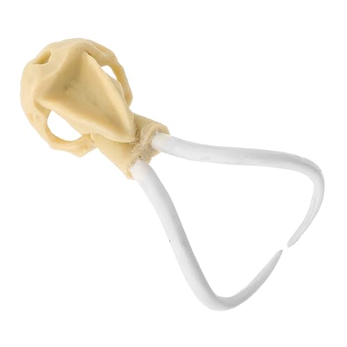 COLLBATH 1 Stück Skull Aquarium Ornament Harz Dekoration für Fischbehälter Langlebige Unterwasserlandschaftsgestaltung von COLLBATH