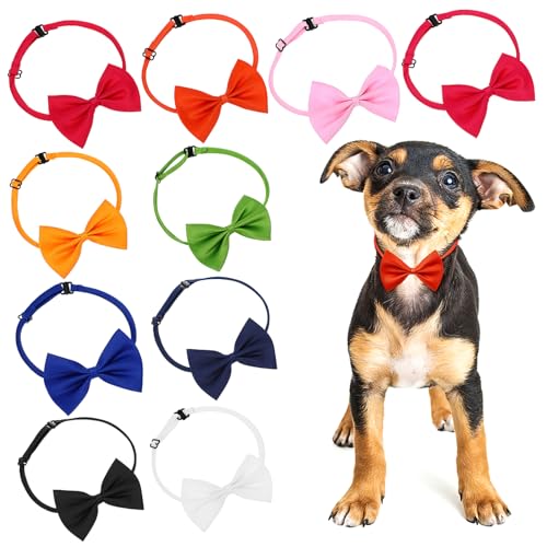 COLLBATH 10 Stück Haustierfliegen Mit Welpenschleifen Halsband Verstellbares Haustierhalsband Katzenschleifen Für Hochzeiten Und Geburtstagsfeiern von COLLBATH