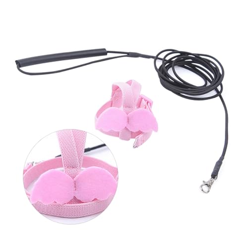 COLLBATH Zugseil Für Papageien 2 M Lang Vogel-Design Für Heimvögel COLLBATH Zugseil Für Papageien 2 M Lang Vogel-Design Für Heimvögel von COLLBATH