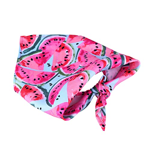 COLLBATH Halsband für Hunde Wassermelonenmuster Halsband Lätzchen sicheres bequemes Material für Partys Geburtstage und den täglichen Gebrauch von COLLBATH