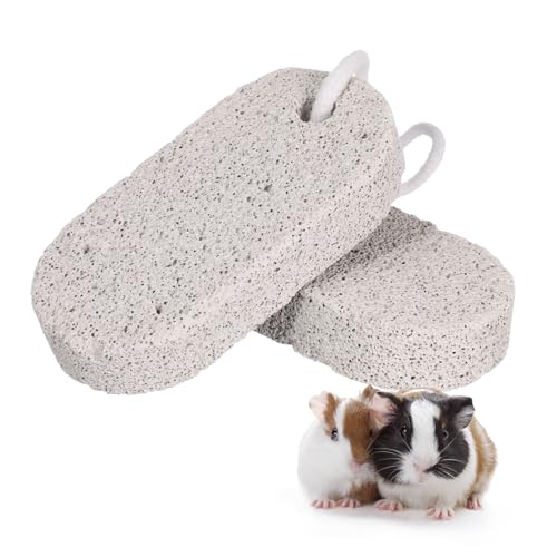 COLLBATH 2 STK Tierzahn-Gitterstein Frettchen Hängematte Meerschweinchen Lavasims für Ratten Frettchenkäfig Hasen Bimsstein tierischer molarenstein Gitterstein für Haustierzähne COLLBATH 2 STK Tierzahn-Gitterstein Frettchen Hängematte Meerschweinchen Lavasims für Ratten Frettchenkäfig Hasen Bimsstein tierischer molarenstein Gitterstein für Haustierzähne von COLLBATH