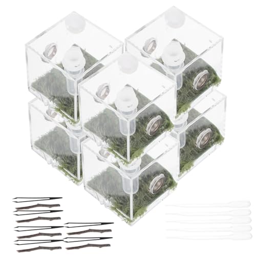 COLLBATH Mini-Vogelspinnen-Gehäuse-Tank Stabiler Springspinnen-Zuchtkasten Fütterungsbehälter-Design von COLLBATH