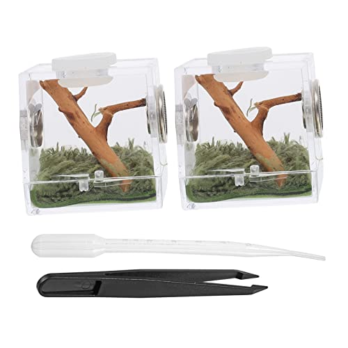 COLLBATH Einfache Spinne Lebensraum Kasten für Springspinnen Tragbare Fütterungsbox Atmungsaktiv Bruchfest 2 Stück Kompakt für Transport und Haltung COLLBATH Einfache Spinne Lebensraum Kasten für Springspinnen Tragbare Fütterungsbox Atmungsaktiv Bruchfest 2 Stück Kompakt für Transport und Haltung von COLLBATH