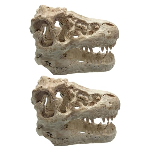 COLLBATH 2 Stück Dinosaurier Schädel Ornament für Aquarium Simulierte Deko für Fischbecken Hochwertige Harz Dekoration für Terrarium und Miniatur Landschaftsdesign COLLBATH 2 Stück Dinosaurier Schädel Ornament für Aquarium Simulierte Deko für Fischbecken Hochwertige Harz Dekoration für Terrarium und Miniatur Landschaftsdesign von COLLBATH