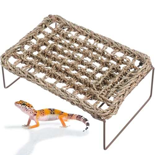 COLLBATH 2 Stück Hängematte Drachen Reptilienteppich Klettern Reptilienbett bärtige Drache-Panzerdekoration gewebte Reptilien-Hängematte Eidechsenliege Eisen von COLLBATH