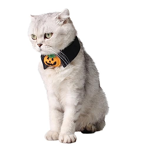 COLLBATH 2 Stück Halloween für und Polyester Bowtie mit Kürbis Design als Haustierkostüm für Festliche Anlässe für Stilvolle Tier Outfits COLLBATH 2 Stück Halloween für und Polyester Bowtie mit Kürbis Design als Haustierkostüm für Festliche Anlässe für Stilvolle Tier Outfits von COLLBATH