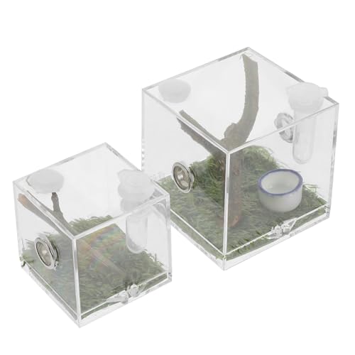 COLLBATH Spinnen-lebensraumbox Mit Luftbefeuchter – Insektenzuchtbox Aus Acryl Für Einfache Beobachtung von COLLBATH