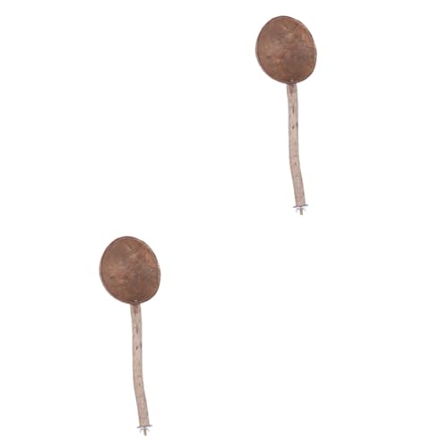 COLLBATH 2st Papagei Kokosnussschalenspielzeug Papageienzubehör Vogelhäuschen Aus Kokosnussschalen Papageiennest Muschelnest Papageienständer Schlafnest Für Haustiere Haustiernest Bambus COLLBATH 2st Papagei Kokosnussschalenspielzeug Papageienzubehör Vogelhäuschen Aus Kokosnussschalen Papageiennest Muschelnest Papageienständer Schlafnest Für Haustiere Haustiernest Bambus von COLLBATH