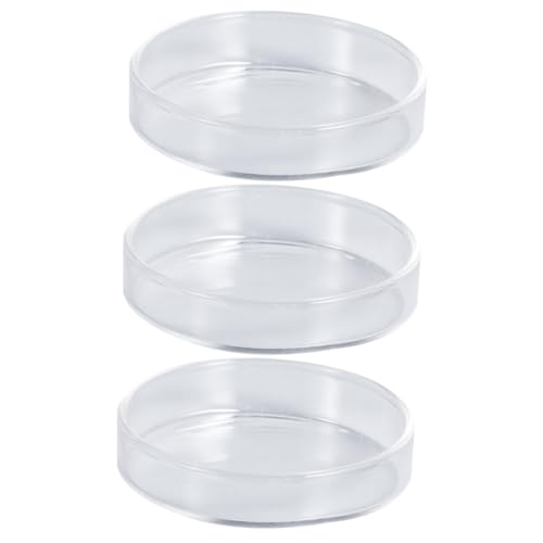 COLLBATH 3 Stücke Garnelen Gericht Glas Garnelen Fütterung Schüssel Mehrzweck Feeder Für Fische Eidechsen Spinnen COLLBATH 3 Stücke Garnelen Gericht Glas Garnelen Fütterung Schüssel Mehrzweck Feeder Für Fische Eidechsen Spinnen von COLLBATH