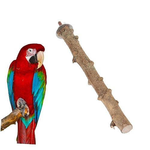 COLLBATH 3St Papageienspielständer haustierbedarf holzspielzeug Papageienzubehör papageienspielzeug vogelzubebehör Holzperche Futterspender Vogelkäfig Vogel Stehen Papageienbarsch Protokoll COLLBATH 3St Papageienspielständer haustierbedarf holzspielzeug Papageienzubehör papageienspielzeug vogelzubebehör Holzperche Futterspender Vogelkäfig Vogel Stehen Papageienbarsch Protokoll von COLLBATH