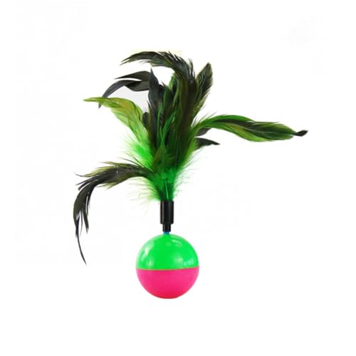 COLLBATH 3Stücke Interaktives Katzenspielzeug Ball Tumbler Kätzchen Trainingsspielzeug Kratzaktivitätsspielzeug Für Haustiere Verschiedene Für Katzen Und Kätzchen COLLBATH 3Stücke Interaktives Katzenspielzeug Ball Tumbler Kätzchen Trainingsspielzeug Kratzaktivitätsspielzeug Für Haustiere Verschiedene Für Katzen Und Kätzchen von COLLBATH