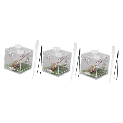 COLLBATH Spinner -Box Springspinnen-zuchtbox Karakolen Lebensraum Für Reptilien Stock Verstecken Gecko Spinnen-Terrarium Reptilfall Insektenbehälter Fliege COLLBATH Spinner -Box Springspinnen-zuchtbox Karakolen Lebensraum Für Reptilien Stock Verstecken Gecko Spinnen-Terrarium Reptilfall Insektenbehälter Fliege von COLLBATH