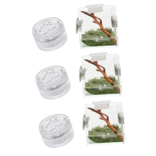 COLLBATH 3 Stücke Box Springenden Spinne Käfig Lagerung Fall Spinne Lebensraum Box Mit Einfache Reinigung COLLBATH 3 Stücke Box Springenden Spinne Käfig Lagerung Fall Spinne Lebensraum Box Mit Einfache Reinigung von COLLBATH