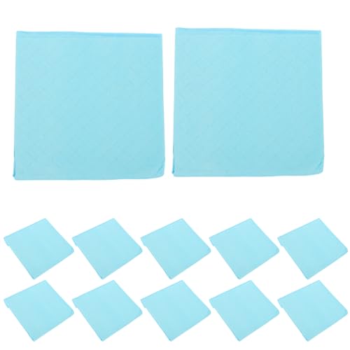 COLLBATH 50 Stück Kaninchen -Toilettenausbildungsmatte Kaninchen-PIPI-Matte Haustierausbildungsmatte Post für Welpe Kaninchen-Urinal-Pad kleine PIPI-Pads Vlies Sky-Blue von COLLBATH