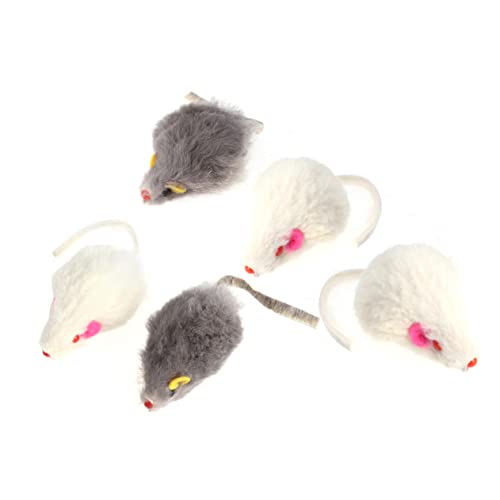 COLLBATH Plüschmaus-Spielzeug 5er-Pack Katzenmäuse-Spielzeug Interaktives Spielzeug Echtes Katzenspielzeug Geistig-körperlich Lieblingsspielzeug Der Kätzchen Zufällige Farbe COLLBATH Plüschmaus-Spielzeug 5er-Pack Katzenmäuse-Spielzeug Interaktives Spielzeug Echtes Katzenspielzeug Geistig-körperlich Lieblingsspielzeug Der Kätzchen Zufällige Farbe von COLLBATH