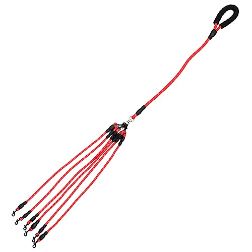 COLLBATH Hundetrainingsleine 6 Köpfe Haustier-Zugseil Sicherheits-Zugseil für Haustiere für Outdoor-Aktivitäten COLLBATH Hundetrainingsleine 6 Köpfe Haustier-Zugseil Sicherheits-Zugseil für Haustiere für Outdoor-Aktivitäten von COLLBATH