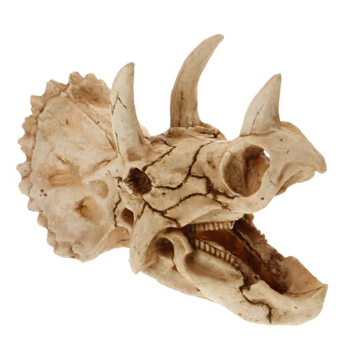 COLLBATH Aquarium Dinosaurenschädel Ornament Unterwasser Dekoration für Fischtanks Versteck für Kleine Fische und Reptilien Langlebig für Terrarien Tischdekoration COLLBATH Aquarium Dinosaurenschädel Ornament Unterwasser Dekoration für Fischtanks Versteck für Kleine Fische und Reptilien Langlebig für Terrarien Tischdekoration von COLLBATH