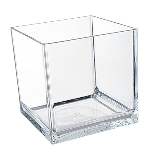 COLLBATH Aquarium Wasserwechsel Aquarium Für Betta Fische Transparenter Desktop Fischbehälter Wohnungsdeko Und Heimtierbedarf Bruchsicheres Design Aquarien von COLLBATH