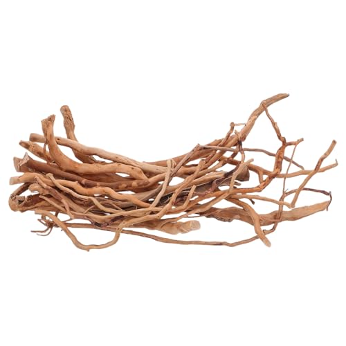 COLLBATH Aquarium Wurzel Dekoration Natürlicher AST Langlebig für Fischbecken Terrarium Reptilien Kletterast Vielseitig für Garnelen und Aquarium Habitat von COLLBATH
