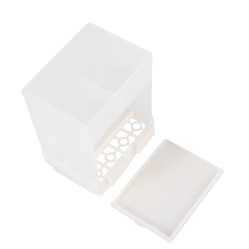 COLLBATH Automatischer Futterspender für Papageien Beige Praktische Futter und Trinkschale Leicht zu Reinigen für Käfige und Kleine Vögel Langlebiges Kunststoffmaterial COLLBATH Automatischer Futterspender für Papageien Beige Praktische Futter und Trinkschale Leicht zu Reinigen für Käfige und Kleine Vögel Langlebiges Kunststoffmaterial von COLLBATH