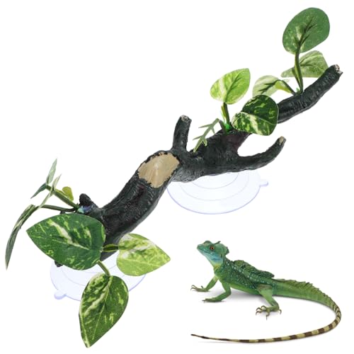 COLLBATH Baumäste aus Langlebigem Harz für Terrarien Kletterhilfe für Bartagamen und Schlangen Einfache Installation Reptilienbehältern COLLBATH Baumäste aus Langlebigem Harz für Terrarien Kletterhilfe für Bartagamen und Schlangen Einfache Installation Reptilienbehältern von COLLBATH