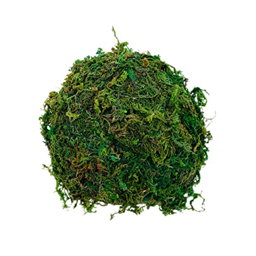 COLLBATH Reptilienversteck Höhle Reptilientank- Schildkröten-lebensraum- Haustier-kriechplattform Hamsterunterschlupf Grünes Terrarium-Ornament von COLLBATH