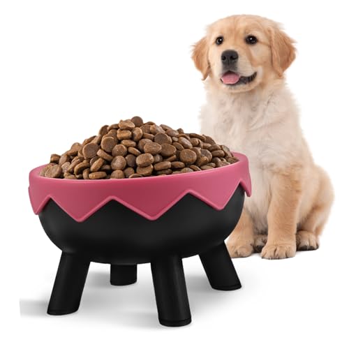 COLLBATH Erhöhter Futternapf für Haustiere Ergonomischer Katzennapf mit Nackenschutz Rutschfestem zu Reinigen für Katzen und Kleine Hygienische Fresshaltung COLLBATH Erhöhter Futternapf für Haustiere Ergonomischer Katzennapf mit Nackenschutz Rutschfestem zu Reinigen für Katzen und Kleine Hygienische Fresshaltung von COLLBATH