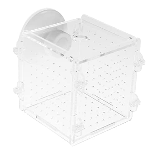 COLLBATH Fischzuchtbox mit Transparenter Abdeckung Isolationsbox für Aquarien Aufzuchtbecken für Jungfische Sicht Installieren mit Saugnäpfen von COLLBATH