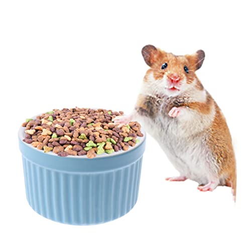 COLLBATH Futternapf aus Keramik für Haustiere für Hamster Kaninchen rund langlebiges Material COLLBATH Futternapf aus Keramik für Haustiere für Hamster Kaninchen rund langlebiges Material von COLLBATH