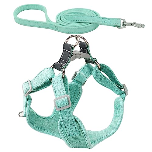 COLLBATH 1satz Hundegeschirr Für Kleine Hunde Verstellbares Atmungsaktives Hundeharness Mit Leuchtender Für Und Training Teiliges Set von COLLBATH