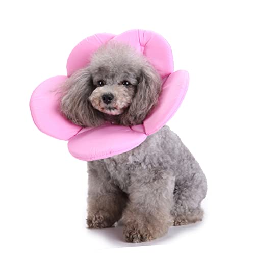 COLLBATH Hundehalsband Aus Stoff Elisabethanisches Design Für Welpen Und Katzen Größe L Einfacher Verschluss Und Anpassung von COLLBATH