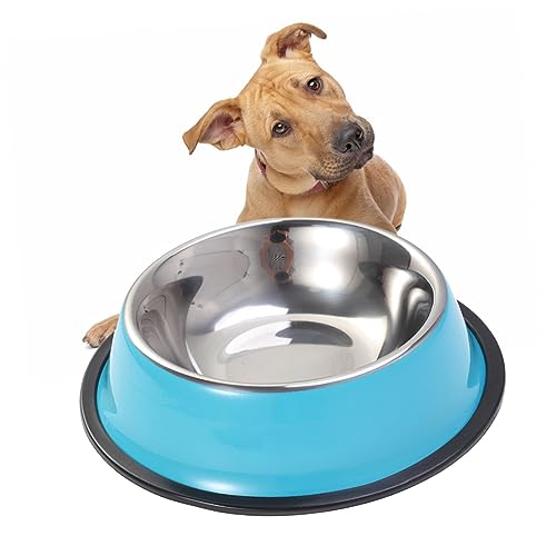 COLLBATH Hundenapf Aus Edelstahl Für Wasser Und Futter Rutschfester Kunststoffboden Rostfrei Und Geruchsneutral Für Hunde Und Katzen von COLLBATH