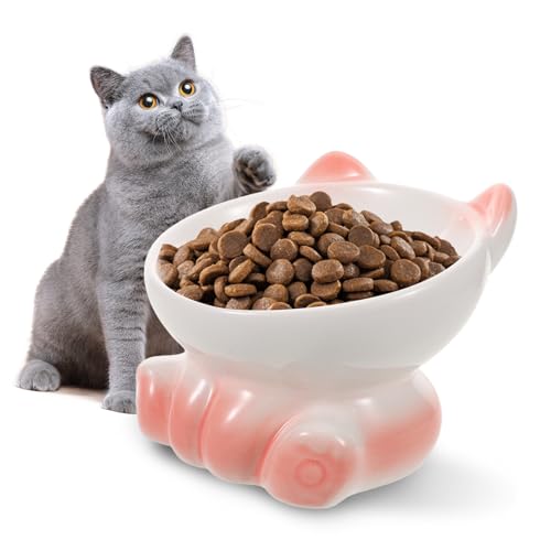 COLLBATH Hochgestellter für Kätzchen und Kleine Hunde Neigbarer Futterspender für Einfacheres Essen Futternapf mit Rutschfester Basis für Bessere Haltung und Gesundheit COLLBATH Hochgestellter für Kätzchen und Kleine Hunde Neigbarer Futterspender für Einfacheres Essen Futternapf mit Rutschfester Basis für Bessere Haltung und Gesundheit von COLLBATH