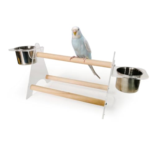 COLLBATH Holz Stativ Für Papageien Einstellbare Kratzstation Mit Edelstahlschüsseln Für Futter Und Wasser Für Wellensittiche Nymphensittiche Und Afrikanische Graue von COLLBATH