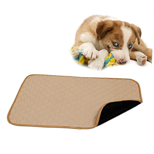 COLLBATH Hunde-PIPI-pad Toilettenmatte Trainingsunterlagen Für Haustiere Haustier-PIPI-pad Waschbare Welpenunterlage Katzenschermaschine, Hundehaarschneider Matte PIPI-Pads Beige COLLBATH Hunde-PIPI-pad Toilettenmatte Trainingsunterlagen Für Haustiere Haustier-PIPI-pad Waschbare Welpenunterlage Katzenschermaschine, Hundehaarschneider Matte PIPI-Pads Beige von COLLBATH