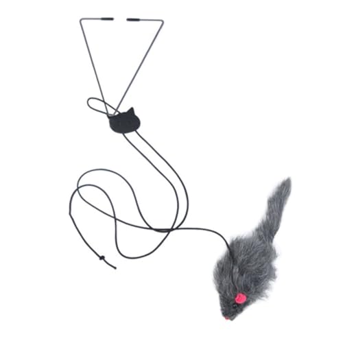 COLLBATH Interaktives Katzenspielzeug Zum Aufhängen Verschleißfest Kätzchenspielzeug Für Katzen Katzenspielzeug Kitten Katzenminze Spielzeug COLLBATH Interaktives Katzenspielzeug Zum Aufhängen Verschleißfest Kätzchenspielzeug Für Katzen Katzenspielzeug Kitten Katzenminze Spielzeug von COLLBATH