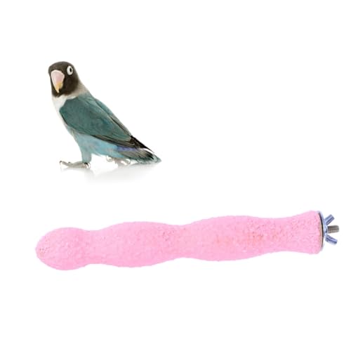 COLLBATH 20cm Papagei Sand Barsch Vogel Schleifen Nagel Spielzeug Natürliche Holz Vogel Barsch Stehen für Sittich Käfig Zubehör von COLLBATH