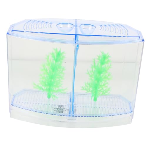 COLLBATH Fischtank-isolierbox Für Betta-Aquarium Garnelenbox Aus Plastik Box Für Fischzucht Im Haushalt Fischzuchttank Mit Trennwand Fischboxhalter Für Kleine Fische von COLLBATH