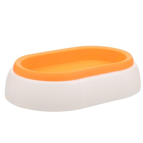 COLLBATH Kasten Katzengrasbox Wurmkur Im Freien Saftig Katzenminze Katzenpflanzer Pflanzgefäß Für Katzengras Spender Katzentoiletten Katzenstreu Katzenbedarf Katzenschreck Post Weiß Plastik COLLBATH Kasten Katzengrasbox Wurmkur Im Freien Saftig Katzenminze Katzenpflanzer Pflanzgefäß Für Katzengras Spender Katzentoiletten Katzenstreu Katzenbedarf Katzenschreck Post Weiß Plastik von COLLBATH