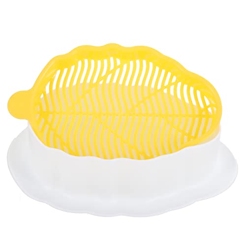 COLLBATH Katzengras Pflanzkasten Hydroponische Katzengrasbox mit Katzenminze für Innenbereich Farbenfrohes Design und Einfacher Erde von COLLBATH