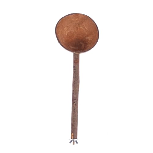 COLLBATH Kokosnussschale Für Vögel Langlebiges Vogelspielzeug Mit Standstab Natürliche Kokosnussschale Papageienschale Vielseitig Einsetzbar Als Futter Und Spielnapf von COLLBATH