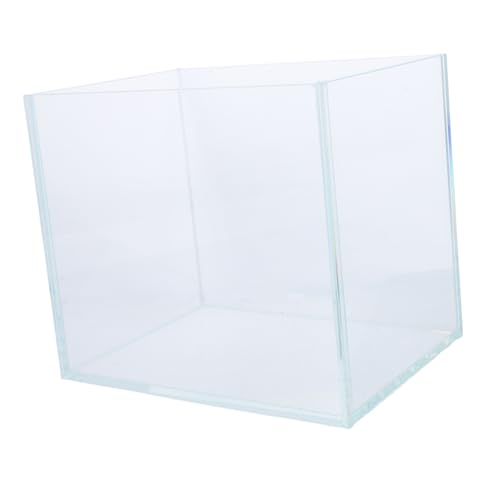 COLLBATH Mini Desktop Betta Aquarium Glasdesign für Kleine Räume für oder Zuhause Pflegeleicht und Kompakt Geeignet für Betta Fische von COLLBATH