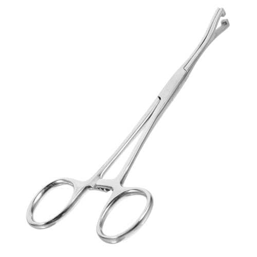COLLBATH Pinzette aus Edelstahl Reptilienfütterungswerkzeug aus Edelstahl Reptilienzubehör Lange pinzette für Aquarium Cricket-Feeder Reptilienfang Rostfreier Stahl Silver von COLLBATH