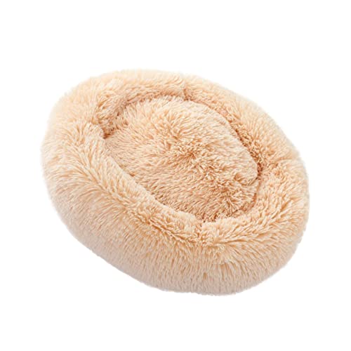 COLLBATH Plüschnest Donut-hundebett Hundebetten Für Kleine Hunde Kätzchenbett Hunde Bett Katzenplüsch Haustierbett Katzenbett Hund Katze Bett Beruhigendes Hundebett Katzenhöhle Beige COLLBATH Plüschnest Donut-hundebett Hundebetten Für Kleine Hunde Kätzchenbett Hunde Bett Katzenplüsch Haustierbett Katzenbett Hund Katze Bett Beruhigendes Hundebett Katzenhöhle Beige von COLLBATH