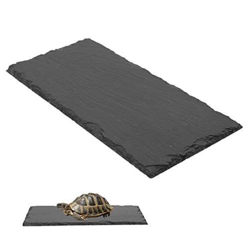 COLLBATH Tablett Reptil Fütterung Platte Futter Fütterung Becken 25x12cm Stein Lebensmittel Becken Für Schildkröte von COLLBATH