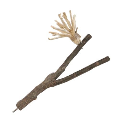 COLLBATH Spielzeug Für Vögel Aus Holz Sitzstange Als Kratzbaum Für Papageien Haustierspielzeug Zum Kauen Und Beschäftigen Naturmaterial Für Vogelkäfigzubehör COLLBATH Spielzeug Für Vögel Aus Holz Sitzstange Als Kratzbaum Für Papageien Haustierspielzeug Zum Kauen Und Beschäftigen Naturmaterial Für Vogelkäfigzubehör von COLLBATH
