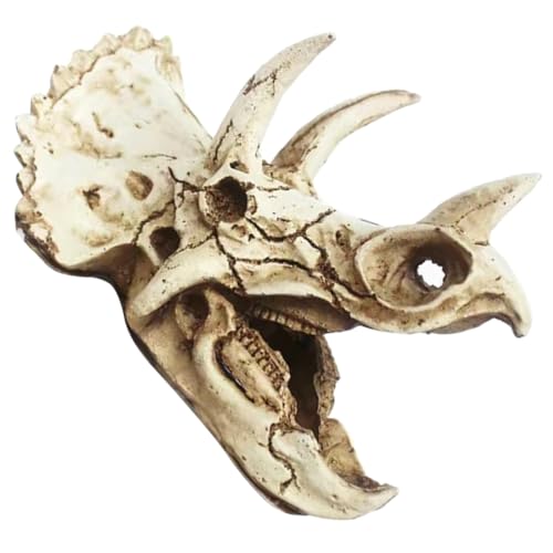 COLLBATH Realistischer Dinosaurier-schädel Aquarium-Dekoration Versteck Ornament Aquarium- Höhle Zum Verstecken Von Garnelen COLLBATH Realistischer Dinosaurier-schädel Aquarium-Dekoration Versteck Ornament Aquarium- Höhle Zum Verstecken Von Garnelen von COLLBATH