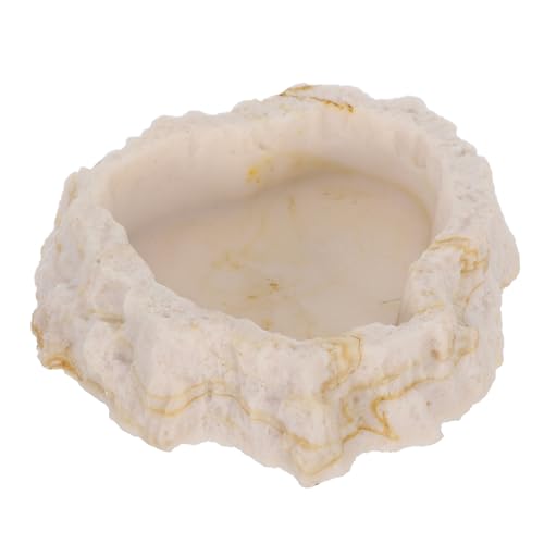 COLLBATH Simulation Rock Reptilien Futternapf Harz Futterbecken Terrarium Wasser Nahrung Schale Gecko Chamäleon von COLLBATH