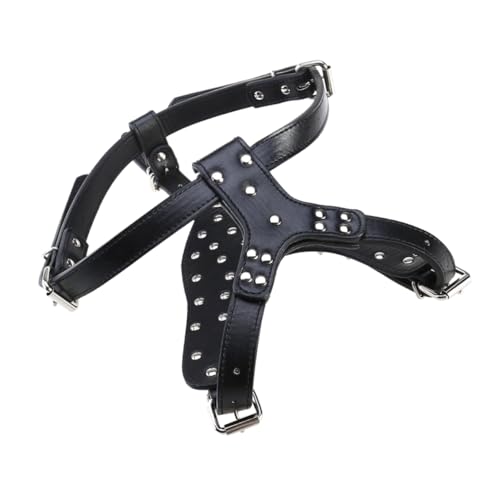 COLLBATH Robuste Metallspikes Für Hunde Im Freien Für Und Training Bequem Und Modisch von COLLBATH